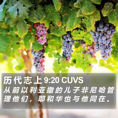 历 代 志 上 9:20 CUVS Bible Verse Image