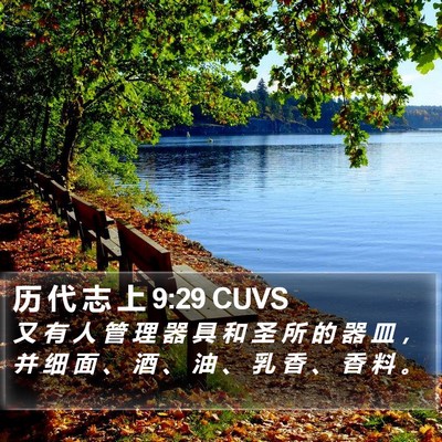 历 代 志 上 9:29 CUVS Bible Verse Image