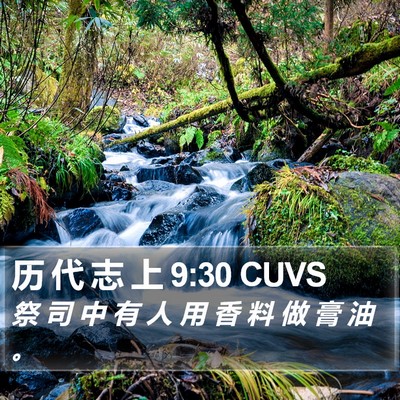 历 代 志 上 9:30 CUVS Bible Verse Image
