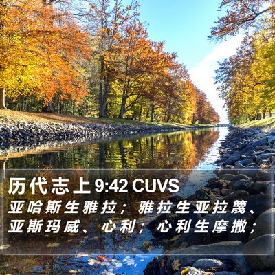 历 代 志 上 9:42 CUVS Bible Verse Image