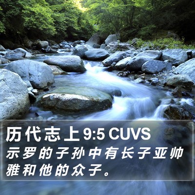 历 代 志 上 9:5 CUVS Bible Verse Image