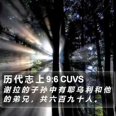 历 代 志 上 9:6 CUVS Bible Verse Image