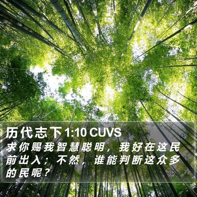 历 代 志 下 1:10 CUVS Bible Verse Image