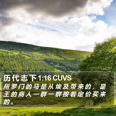 历 代 志 下 1:16 CUVS Bible Verse Image
