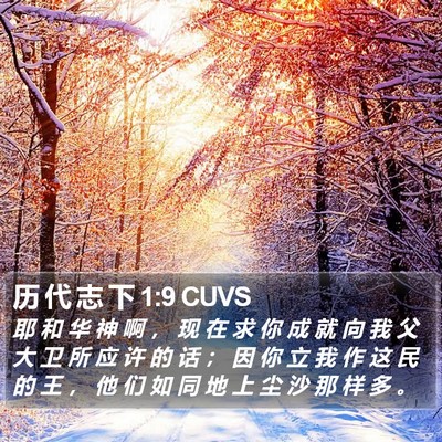 历 代 志 下 1:9 CUVS Bible Verse Image