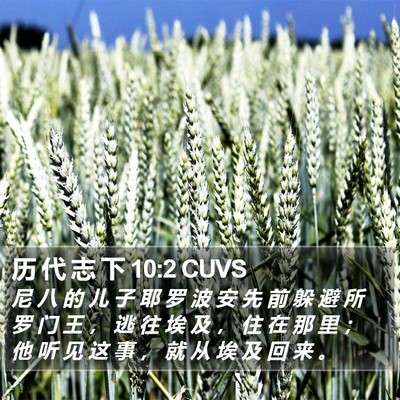 历 代 志 下 10:2 CUVS Bible Verse Image