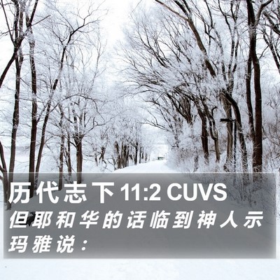 历 代 志 下 11:2 CUVS Bible Verse Image