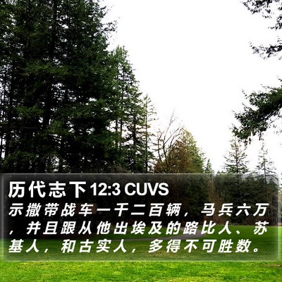历 代 志 下 12:3 CUVS Bible Verse Image