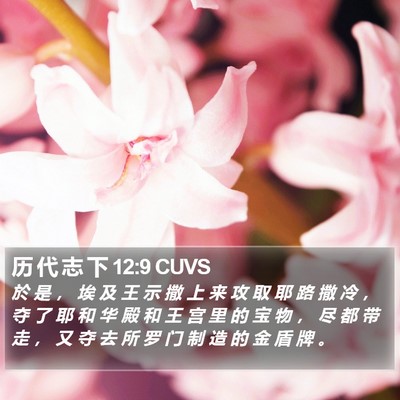 历 代 志 下 12:9 CUVS Bible Verse Image