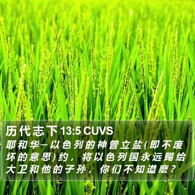 历 代 志 下 13:5 CUVS Bible Verse Image