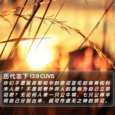 历 代 志 下 13:9 CUVS Bible Verse Image