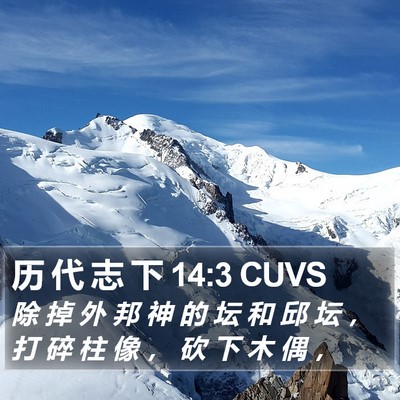 历 代 志 下 14:3 CUVS Bible Verse Image