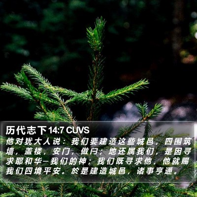 历 代 志 下 14:7 CUVS Bible Verse Image