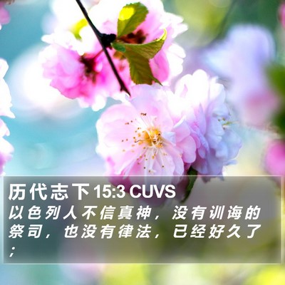 历 代 志 下 15:3 CUVS Bible Verse Image