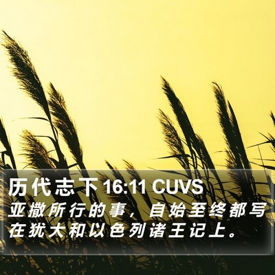 历 代 志 下 16:11 CUVS Bible Verse Image