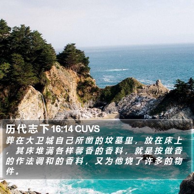 历 代 志 下 16:14 CUVS Bible Verse Image