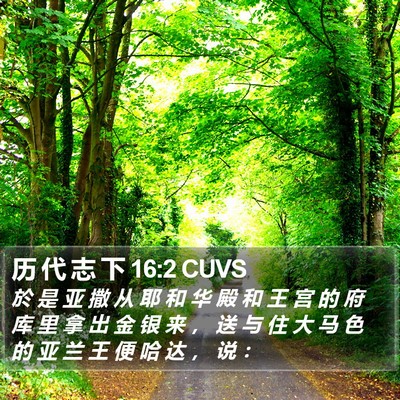 历 代 志 下 16:2 CUVS Bible Verse Image