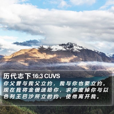 历 代 志 下 16:3 CUVS Bible Verse Image