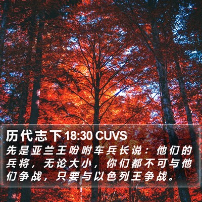 历 代 志 下 18:30 CUVS Bible Verse Image