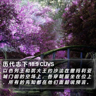 历 代 志 下 18:9 CUVS Bible Verse Image