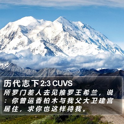 历 代 志 下 2:3 CUVS Bible Verse Image