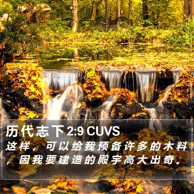 历 代 志 下 2:9 CUVS Bible Verse Image