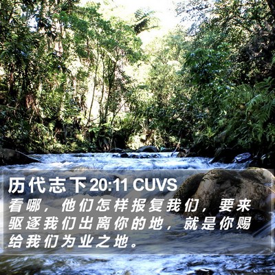 历 代 志 下 20:11 CUVS Bible Verse Image
