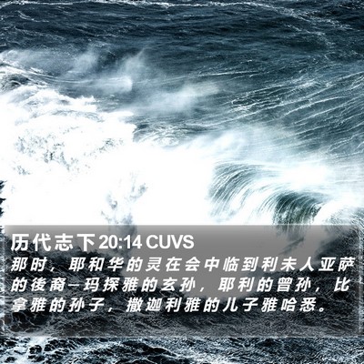 历 代 志 下 20:14 CUVS Bible Verse Image