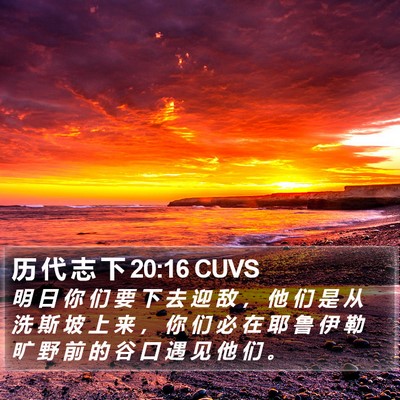 历 代 志 下 20:16 CUVS Bible Verse Image