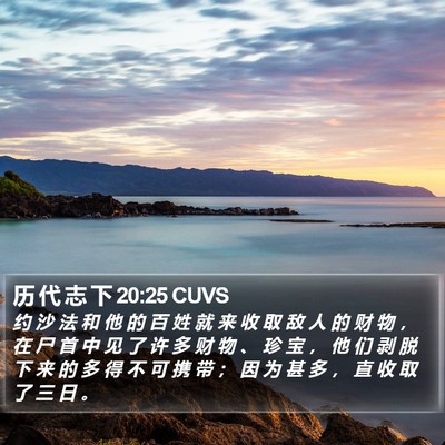 历 代 志 下 20:25 CUVS Bible Verse Image