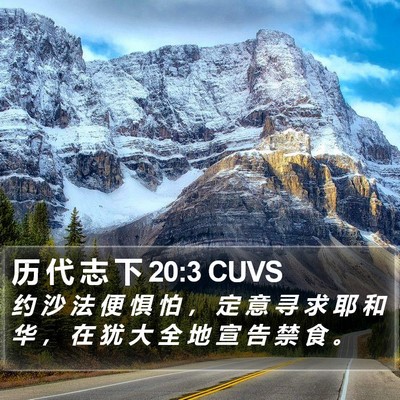 历 代 志 下 20:3 CUVS Bible Verse Image