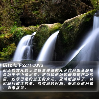 历 代 志 下 22:11 CUVS Bible Verse Image