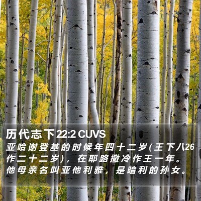 历 代 志 下 22:2 CUVS Bible Verse Image