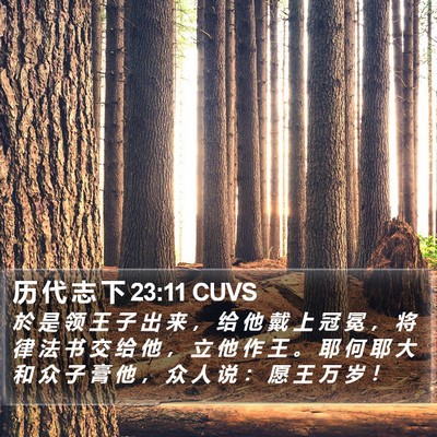 历 代 志 下 23:11 CUVS Bible Verse Image