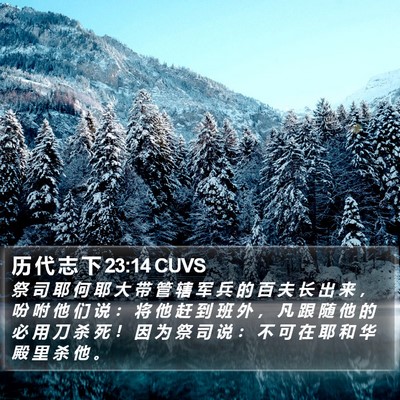 历 代 志 下 23:14 CUVS Bible Verse Image