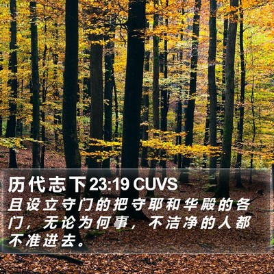 历 代 志 下 23:19 CUVS Bible Verse Image