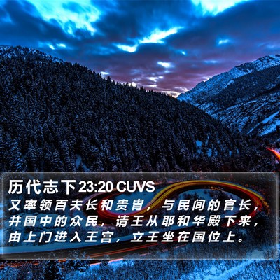 历 代 志 下 23:20 CUVS Bible Verse Image