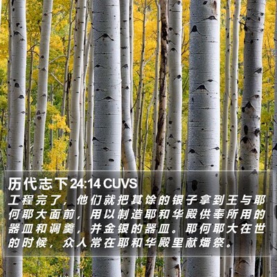 历 代 志 下 24:14 CUVS Bible Verse Image