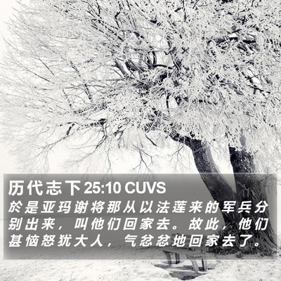 历 代 志 下 25:10 CUVS Bible Verse Image