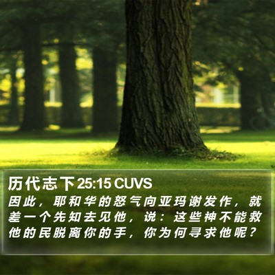 历 代 志 下 25:15 CUVS Bible Verse Image