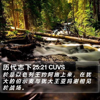 历 代 志 下 25:21 CUVS Bible Verse Image