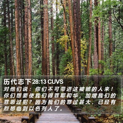 历 代 志 下 28:13 CUVS Bible Verse Image