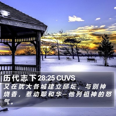历 代 志 下 28:25 CUVS Bible Verse Image