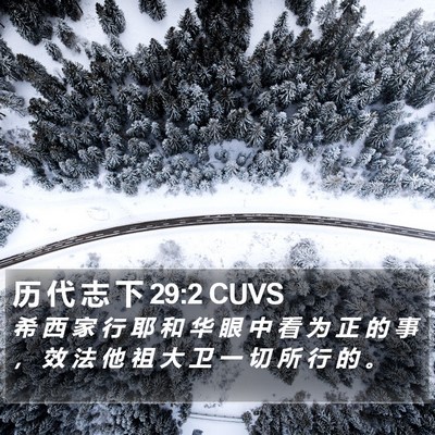 历 代 志 下 29:2 CUVS Bible Verse Image