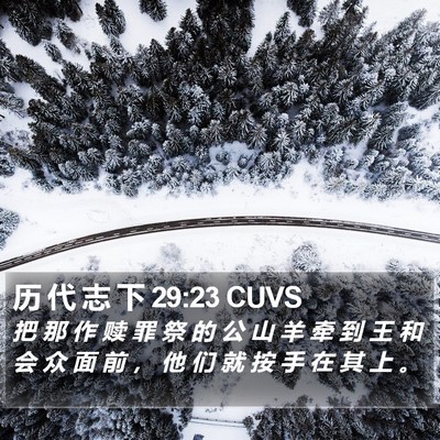 历 代 志 下 29:23 CUVS Bible Verse Image