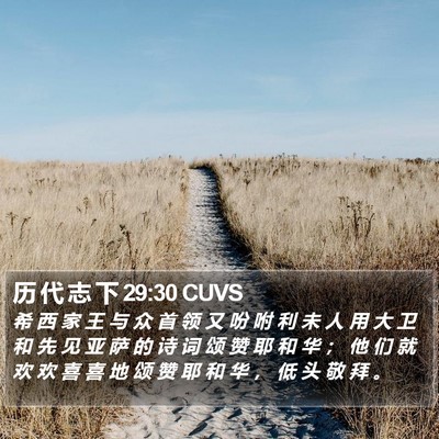 历 代 志 下 29:30 CUVS Bible Verse Image