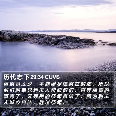 历 代 志 下 29:34 CUVS Bible Verse Image