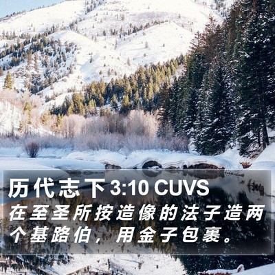 历 代 志 下 3:10 CUVS Bible Verse Image