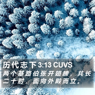 历 代 志 下 3:13 CUVS Bible Verse Image