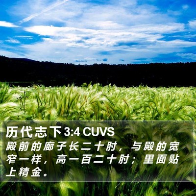 历 代 志 下 3:4 CUVS Bible Verse Image